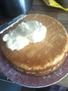 MojitoCake18 Put it together